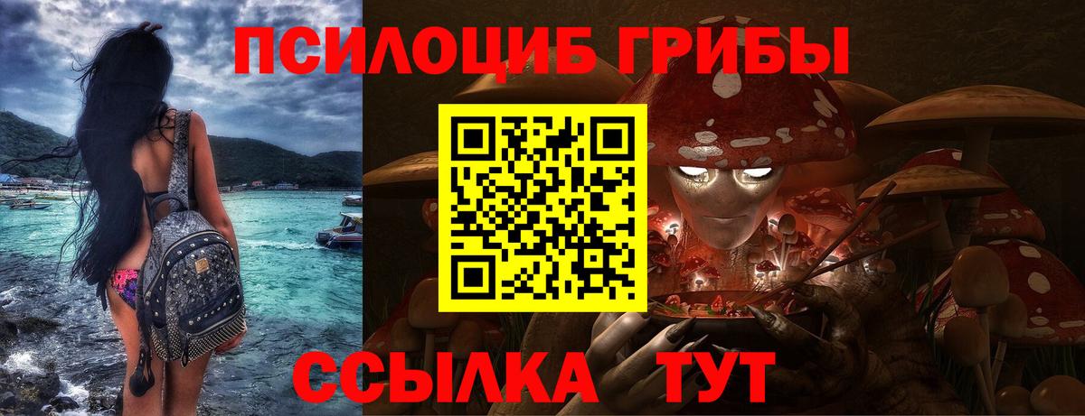 Омск  наркота  Вход с VPN  Галлюциногенные грибы GOLDEN TEACHER 