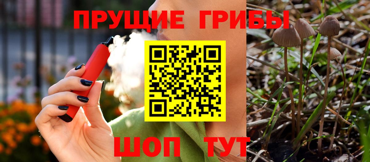 Псилоцибиновые грибы прущие грибы Омск